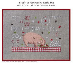 Study of Molecules Little Pig